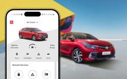 allFeatures view