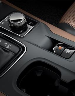 allFeatures view